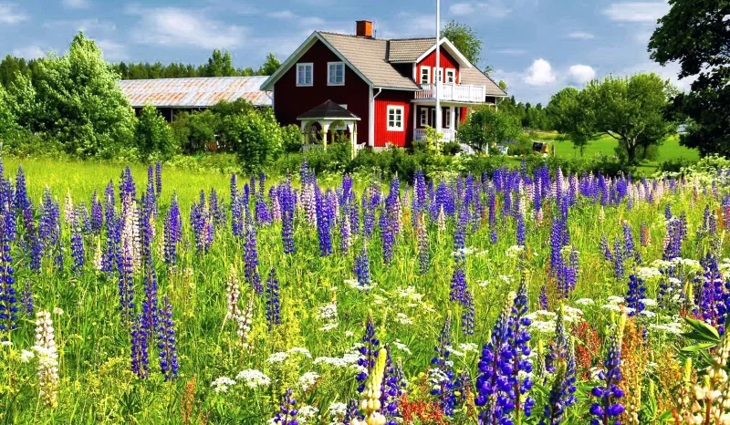 om bygg tomelilla skane